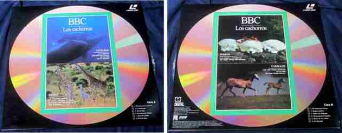 LASER DISC BBC LOS CACHORROS CETACEOS JIRAFAS PERROS CABALLOS